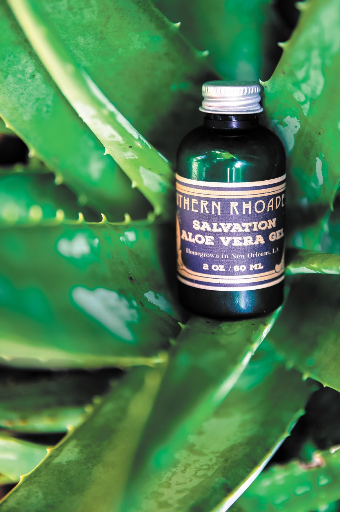 Southern Rhoades - Salvation Aloe Vera Gel copy.jpg